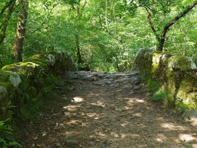 Old Pack Horse bridge dappled by sunshine and decorated with moss