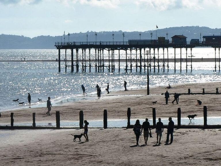 Playful dogs and people walking along a sandy beach on a summers evening with a pier in the background