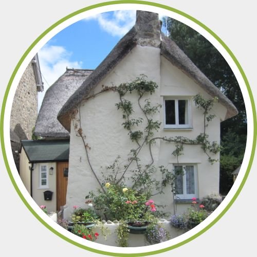 Rose covered thatched dartmoor holiday cottage