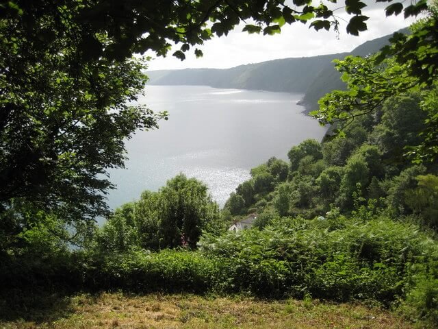 Spectacular view of North Devon coast framed by tree in leaf